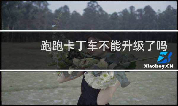 跑跑卡丁车不能升级了吗