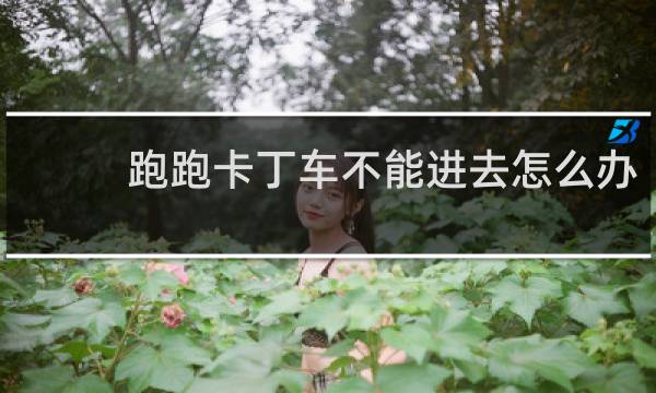 跑跑卡丁车不能进去怎么办