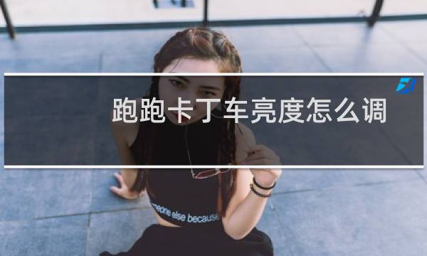 跑跑卡丁车亮度怎么调