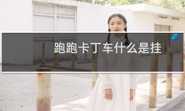 跑跑卡丁车什么是挂