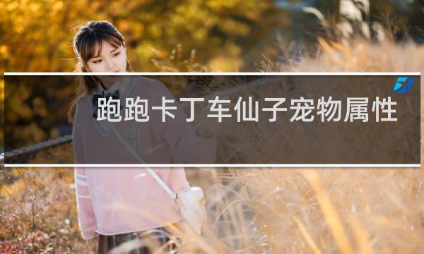 跑跑卡丁车仙子宠物属性