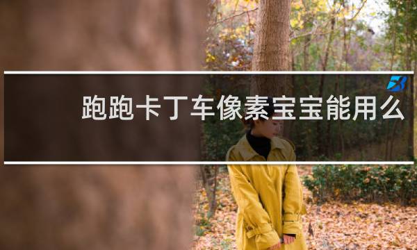 跑跑卡丁车像素宝宝能用么