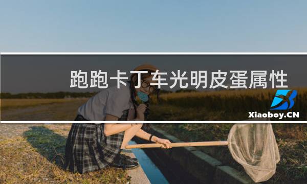 跑跑卡丁车光明皮蛋属性
