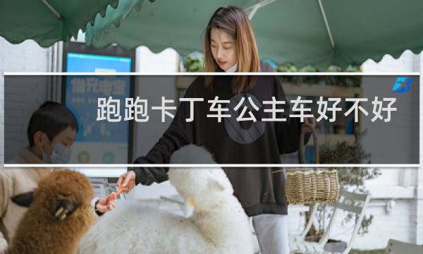 跑跑卡丁车公主车好不好