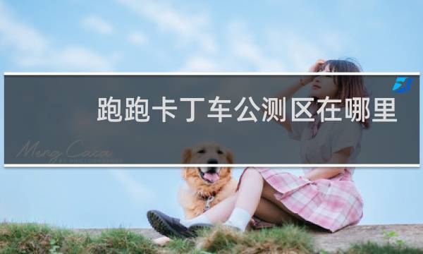 跑跑卡丁车公测区在哪里