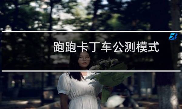 跑跑卡丁车公测模式