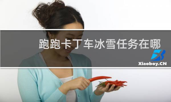 跑跑卡丁车冰雪任务在哪