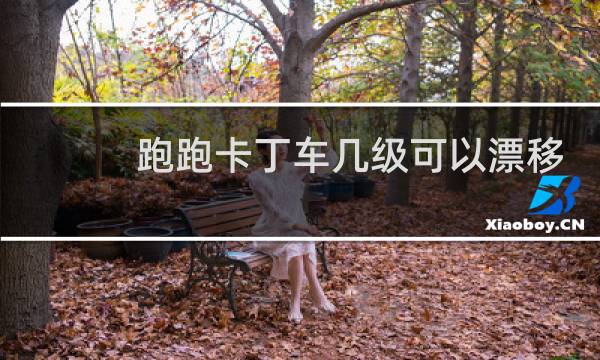 跑跑卡丁车几级可以漂移