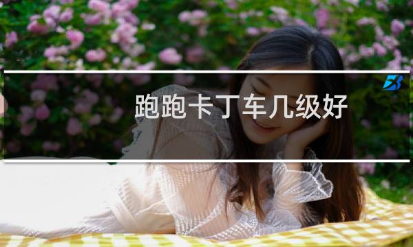 跑跑卡丁车几级好