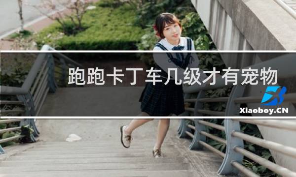 跑跑卡丁车几级才有宠物