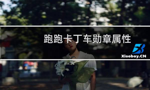 跑跑卡丁车勋章属性