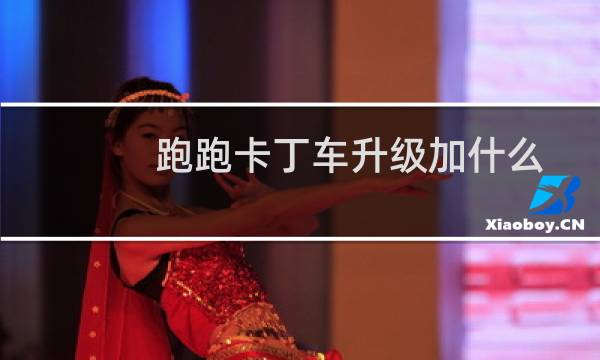 跑跑卡丁车升级加什么