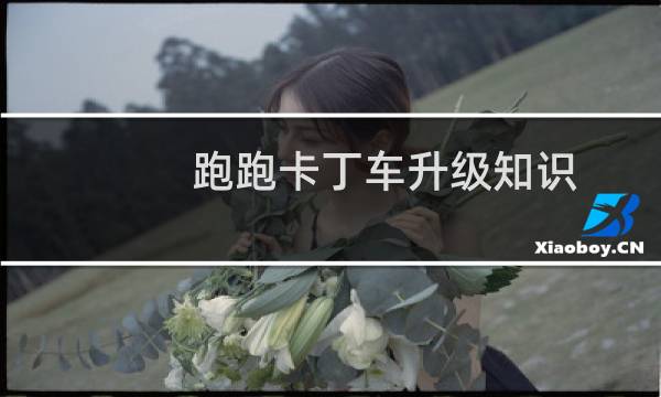 跑跑卡丁车升级知识