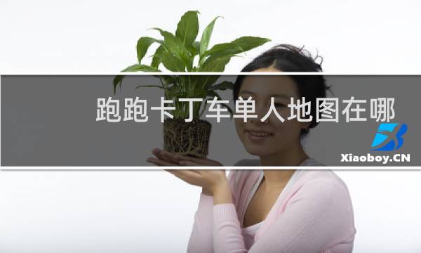 跑跑卡丁车单人地图在哪