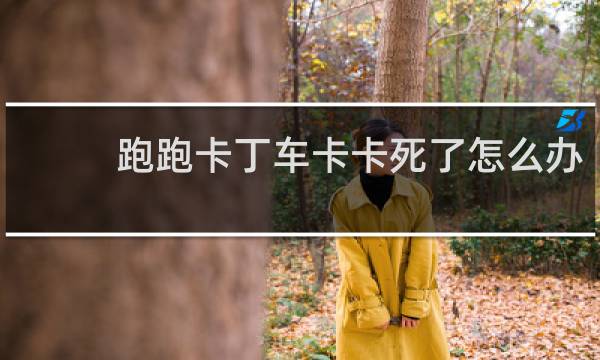 跑跑卡丁车卡卡死了怎么办