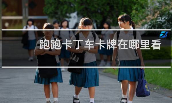跑跑卡丁车卡牌在哪里看