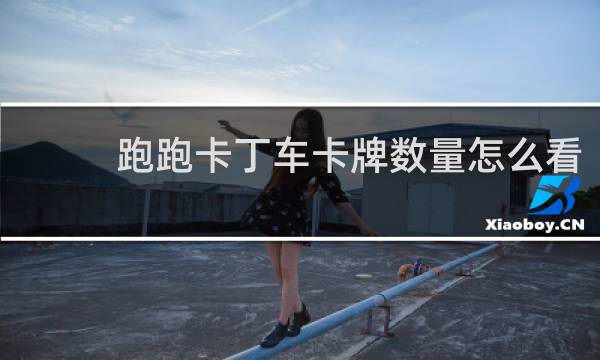 跑跑卡丁车卡牌数量怎么看