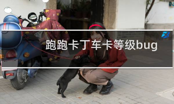 跑跑卡丁车卡等级bug