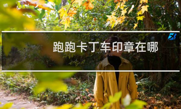 跑跑卡丁车印章在哪