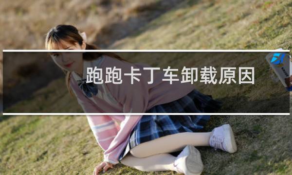 跑跑卡丁车卸载原因