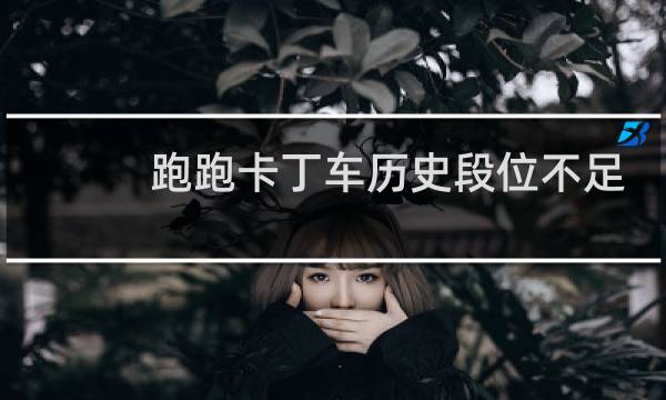 跑跑卡丁车历史段位不足