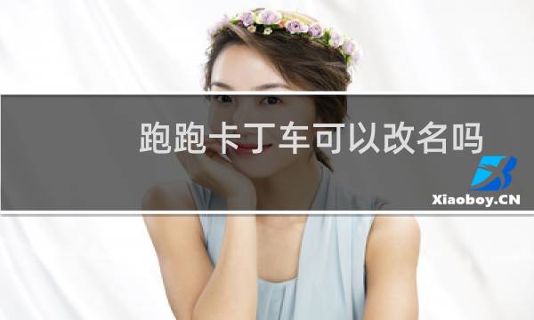 跑跑卡丁车可以改名吗