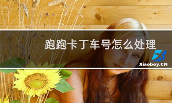 跑跑卡丁车号怎么处理