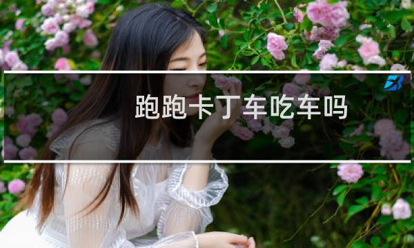 跑跑卡丁车吃车吗