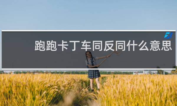 跑跑卡丁车同反同什么意思