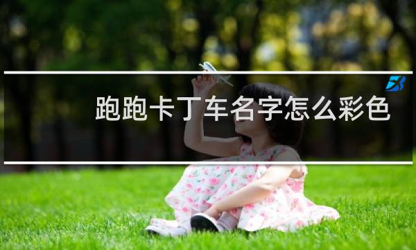 跑跑卡丁车名字怎么彩色
