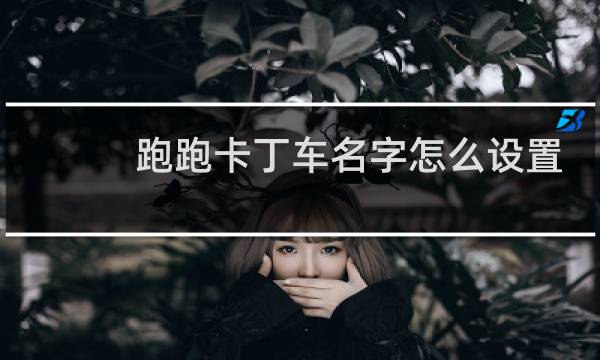跑跑卡丁车名字怎么设置