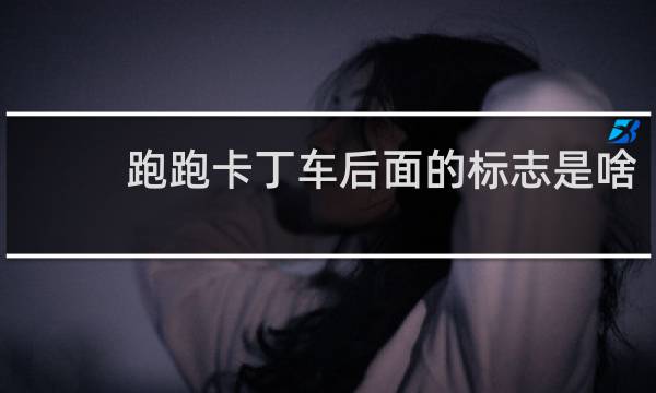 跑跑卡丁车后面的标志是啥
