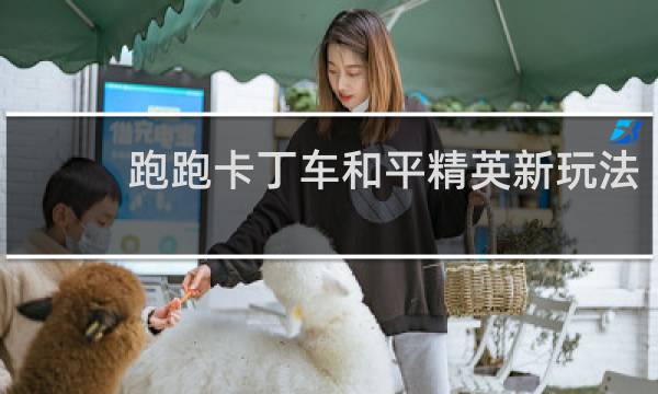 跑跑卡丁车和平精英新玩法