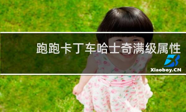 跑跑卡丁车哈士奇满级属性