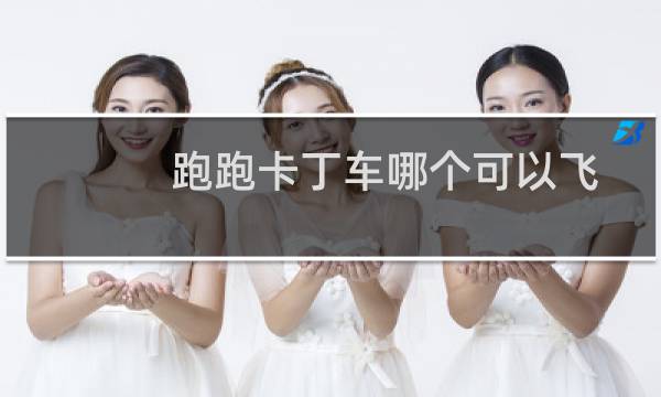 跑跑卡丁车哪个可以飞