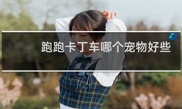 跑跑卡丁车哪个宠物好些