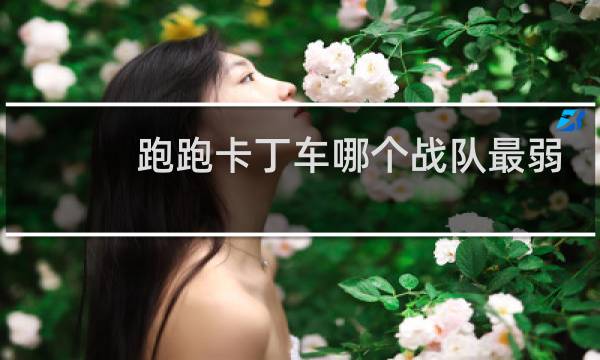 跑跑卡丁车哪个战队最弱