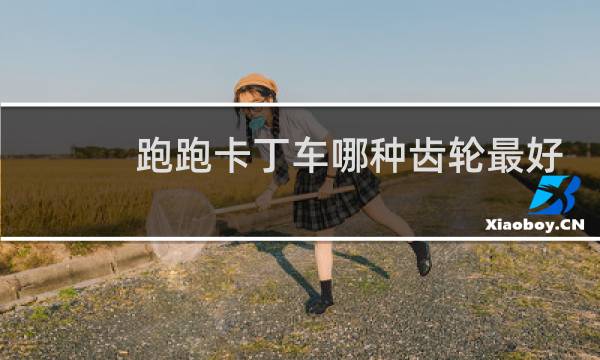 跑跑卡丁车哪种齿轮最好