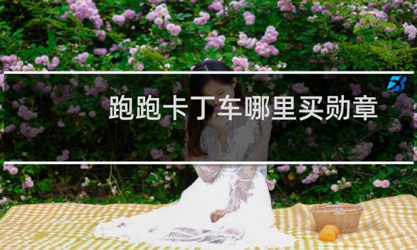 跑跑卡丁车哪里买勋章