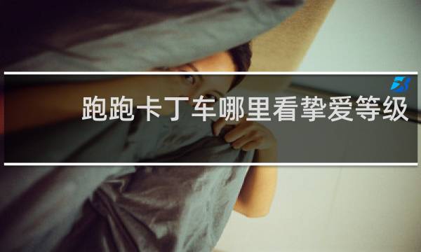跑跑卡丁车哪里看挚爱等级