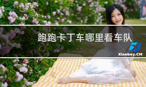 跑跑卡丁车哪里看车队