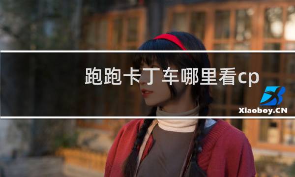 跑跑卡丁车哪里看cp