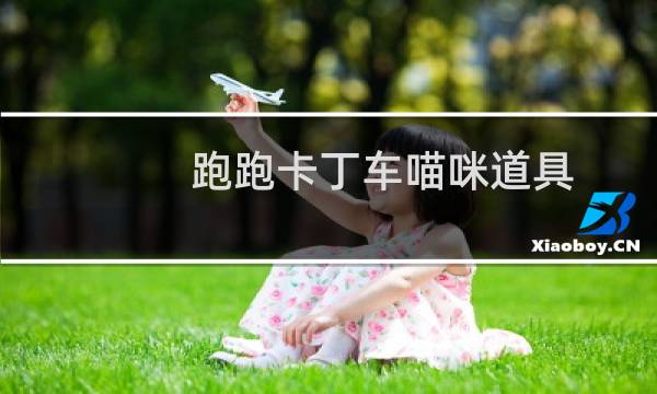 跑跑卡丁车喵咪道具