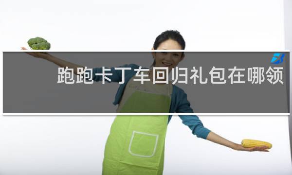 跑跑卡丁车回归礼包在哪领