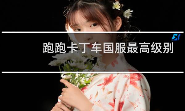 跑跑卡丁车国服最高级别
