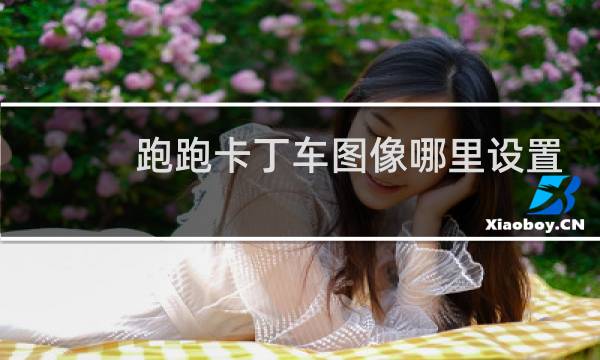 跑跑卡丁车图像哪里设置