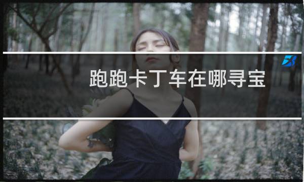 跑跑卡丁车在哪寻宝