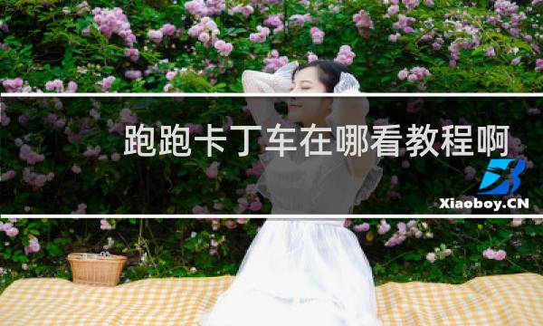 跑跑卡丁车在哪看教程啊