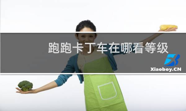 跑跑卡丁车在哪看等级