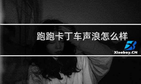 跑跑卡丁车声浪怎么样